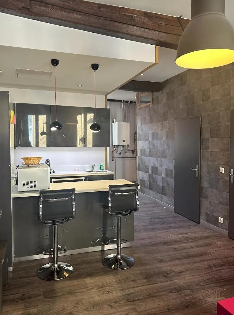 Apartmán Le Clerc Grenoble